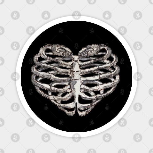 Rib Cage Floral 2 Magnet by Collagedream